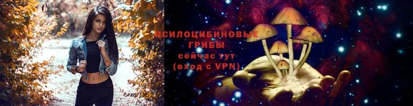apvp Касимов
