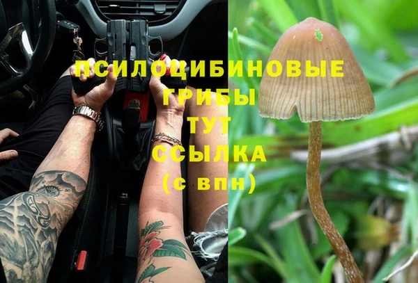 кристаллы Абаза