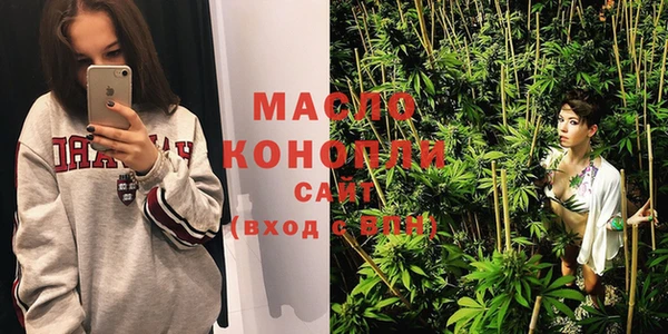 индика Протвино