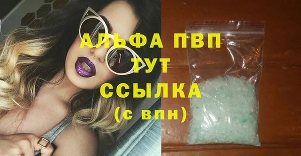 индика Протвино